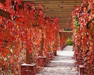 Beijing Jinyu Badaling Hot Spring Resort Xiaohetun Exterior photo